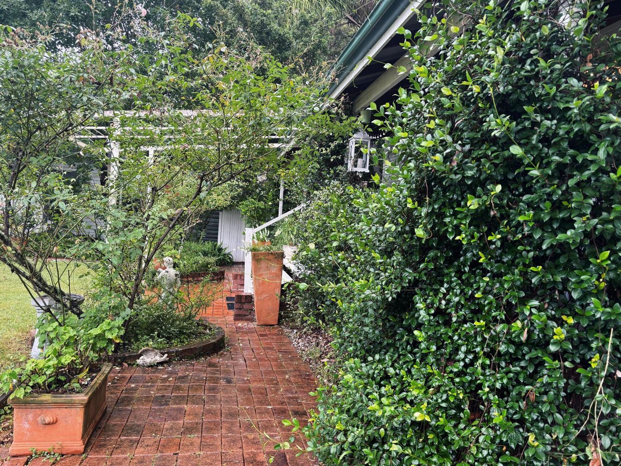 Celestial Dew Guesthouse In Tyalgum Eksteriør bilde